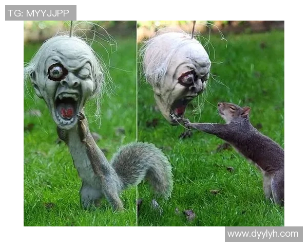 凯尔特人不为人知的十大冷知识揭秘 你了解多少